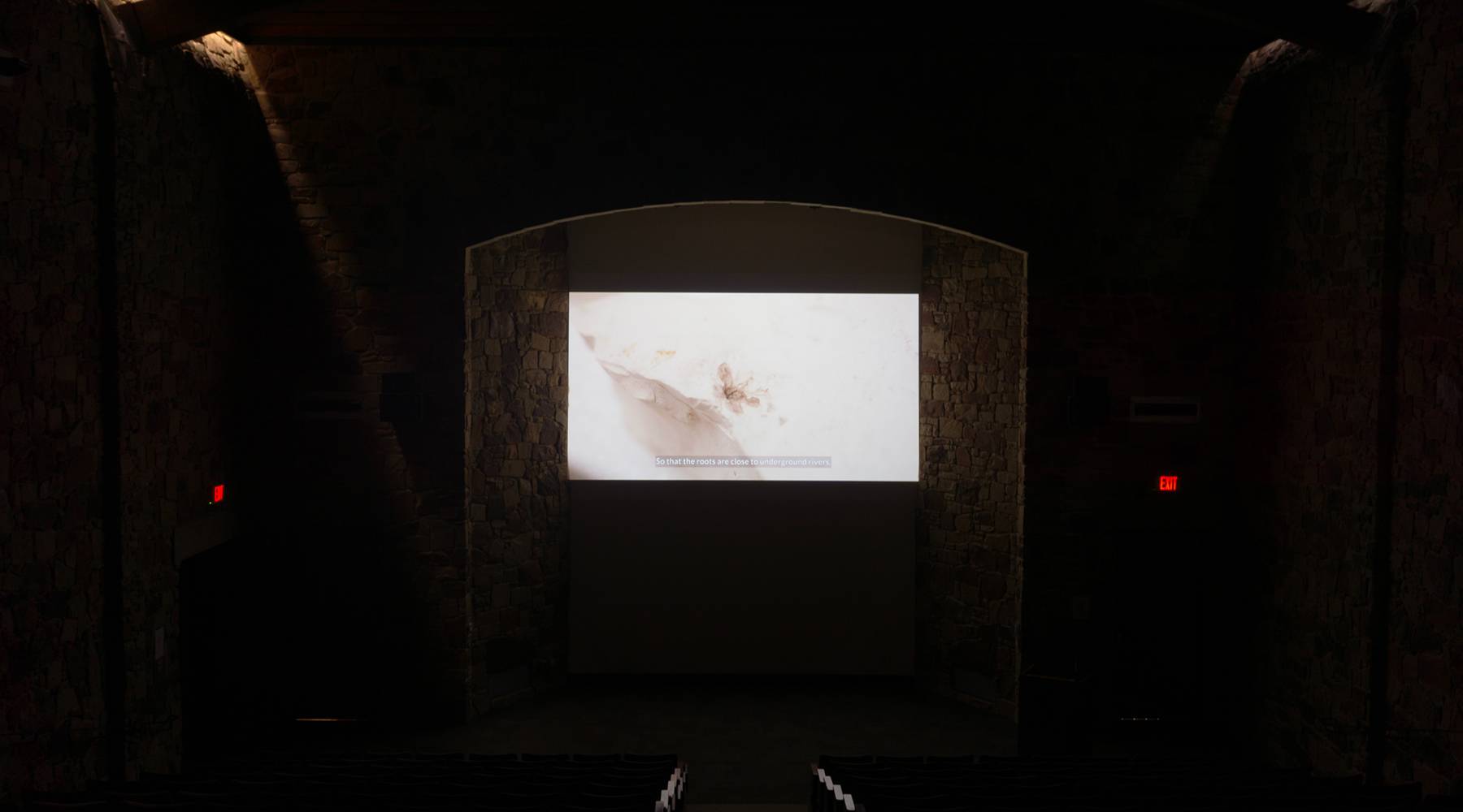 : Marianne Hoffmeister Castro. A seed a deer a seed. 4K Video. 26min. Ladybird Johnson Wildflower Center, Austin, 2023. Screening and installation view.